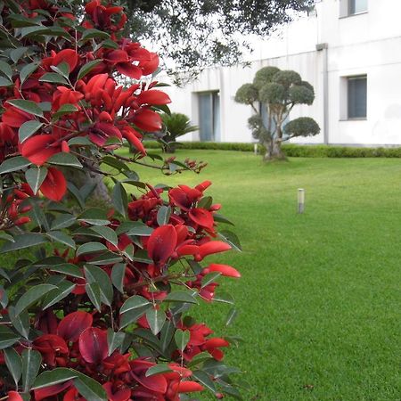 Fiore Dell'Etna Lejlighed Santa Venerina Eksteriør billede