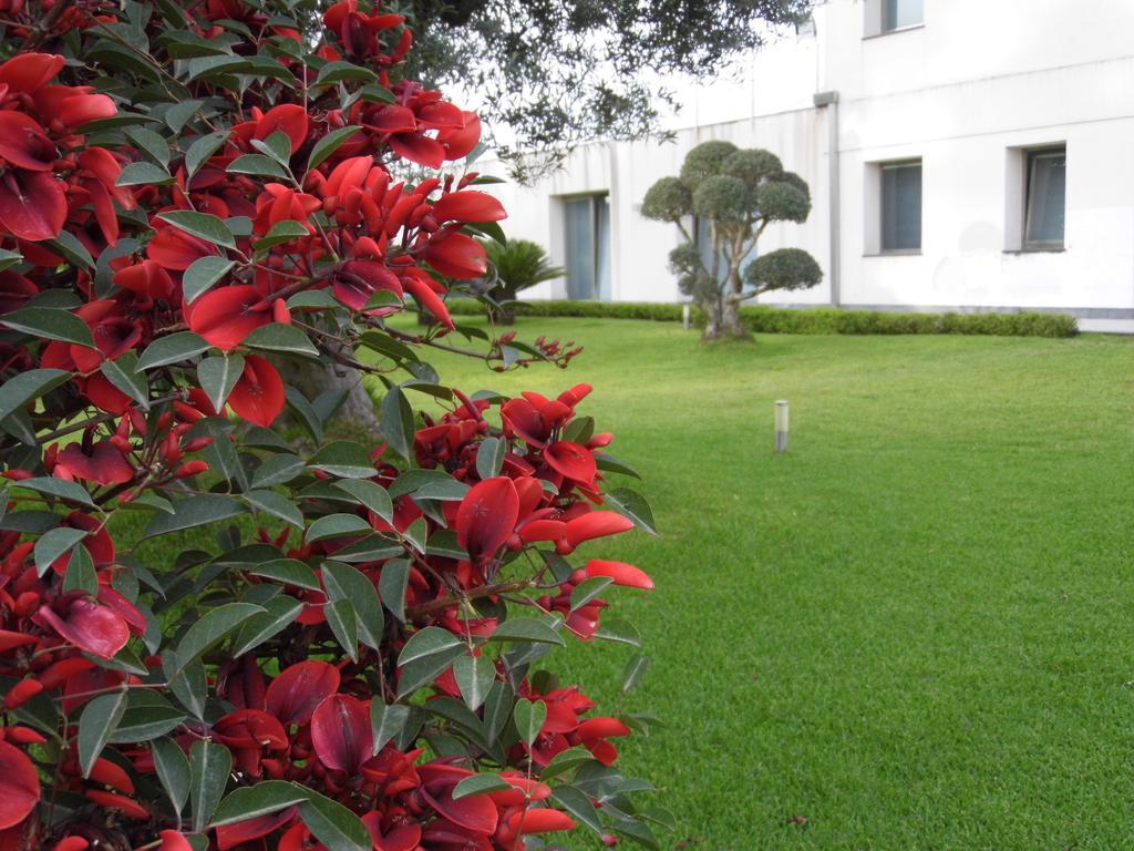 Fiore Dell'Etna Lejlighed Santa Venerina Eksteriør billede